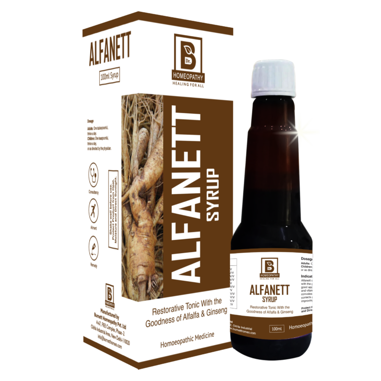 alfanett mockup
